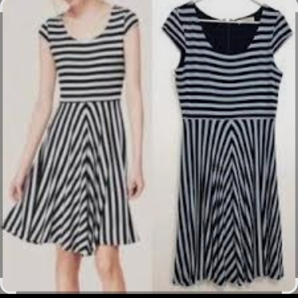 Taylor Loft Cap Sleeve Dress